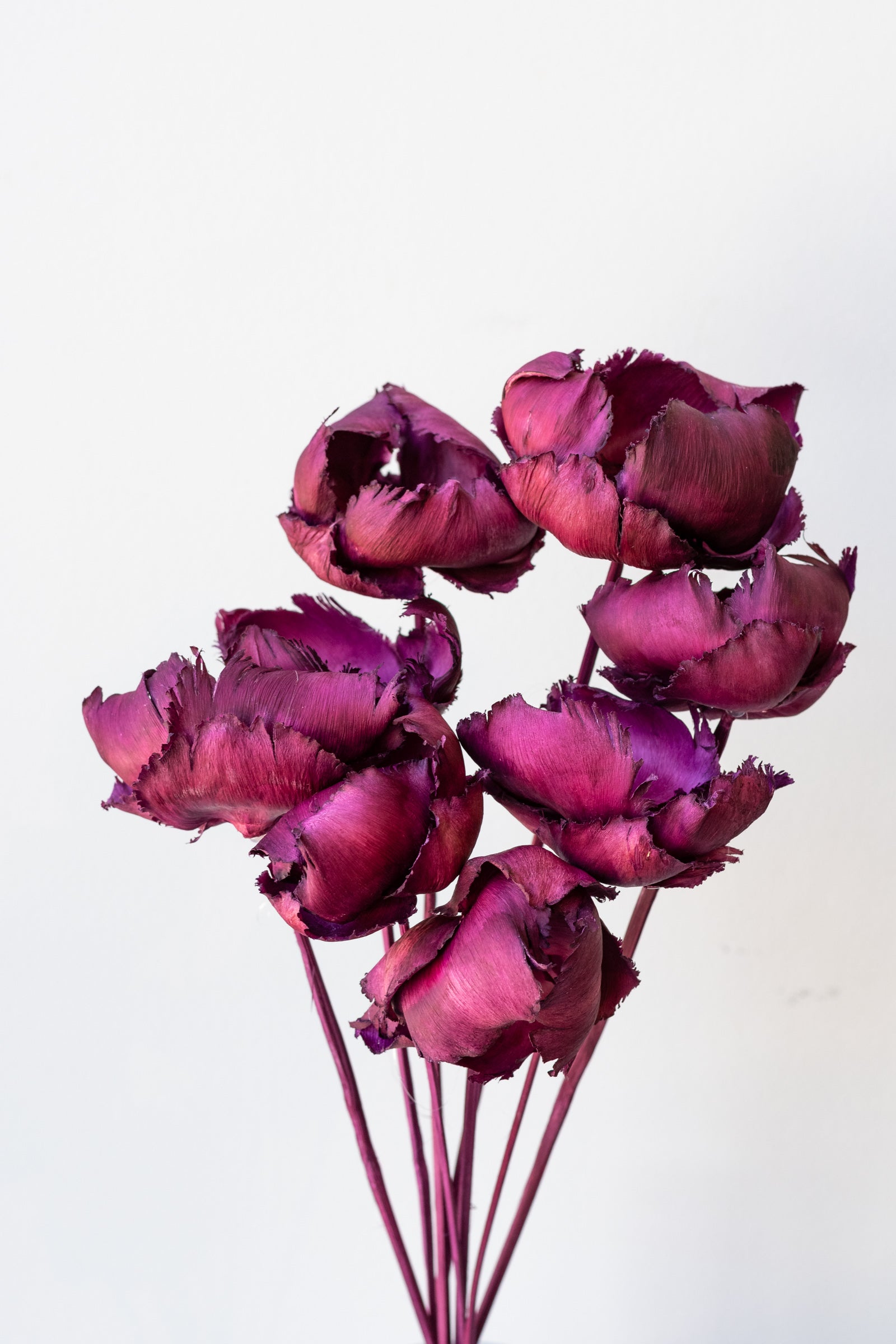 Palm Cap Violet Pastel Preserved Bunch