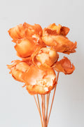 Palm Cap Peach Pastel Preserved Bunch