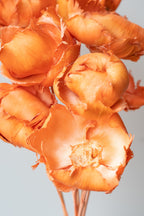 Palm Cap Peach Pastel Preserved Bunch