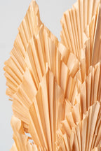 Palm Spear Light Peach Pastel Preserved Bunch