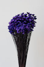 Glixia Deep Violet Color Preserved Bunch
