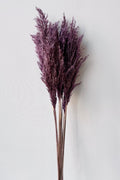 Pluma Mini Purple Color Preserved Bunch