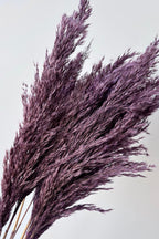 Pluma Mini Purple Color Preserved Bunch