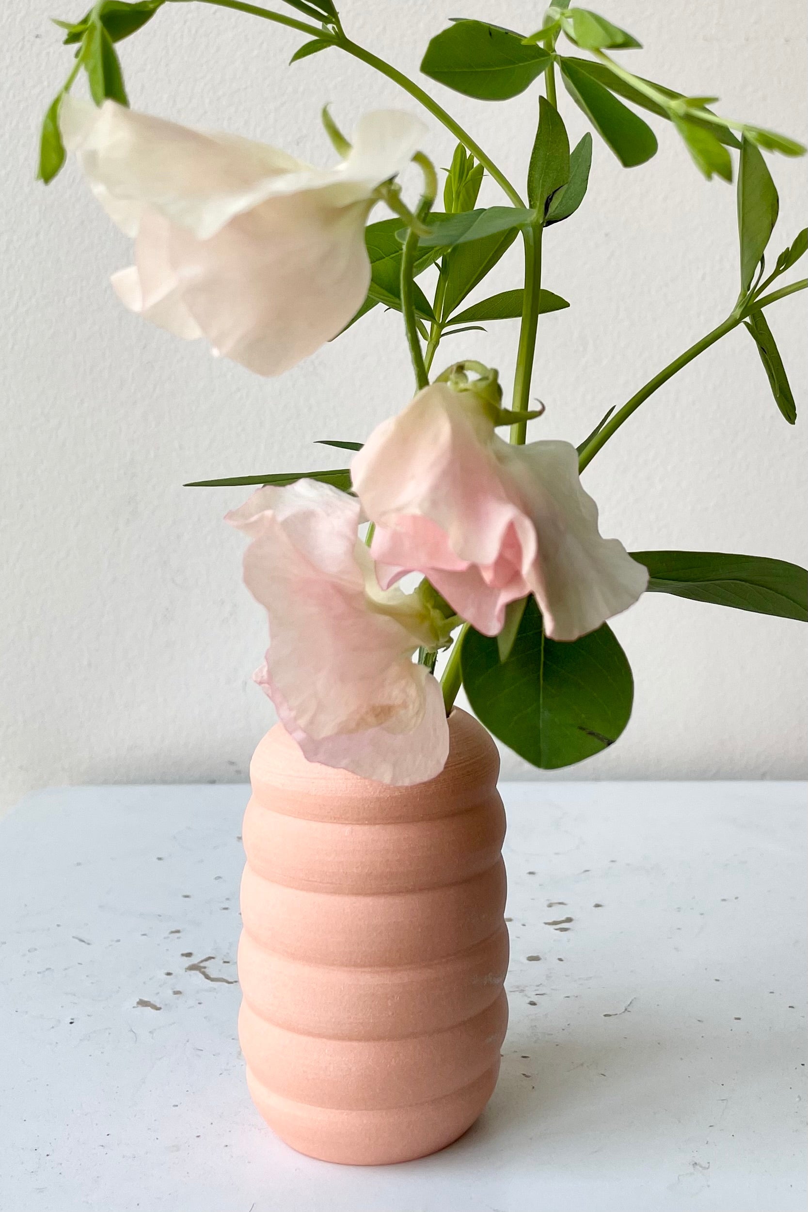 Petite pastel Ribbed Vase Peach