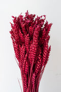 Trigo Ruby Color Preserved Bunch