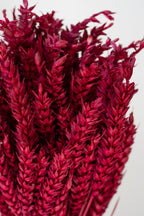 Trigo Ruby Color Preserved Bunch