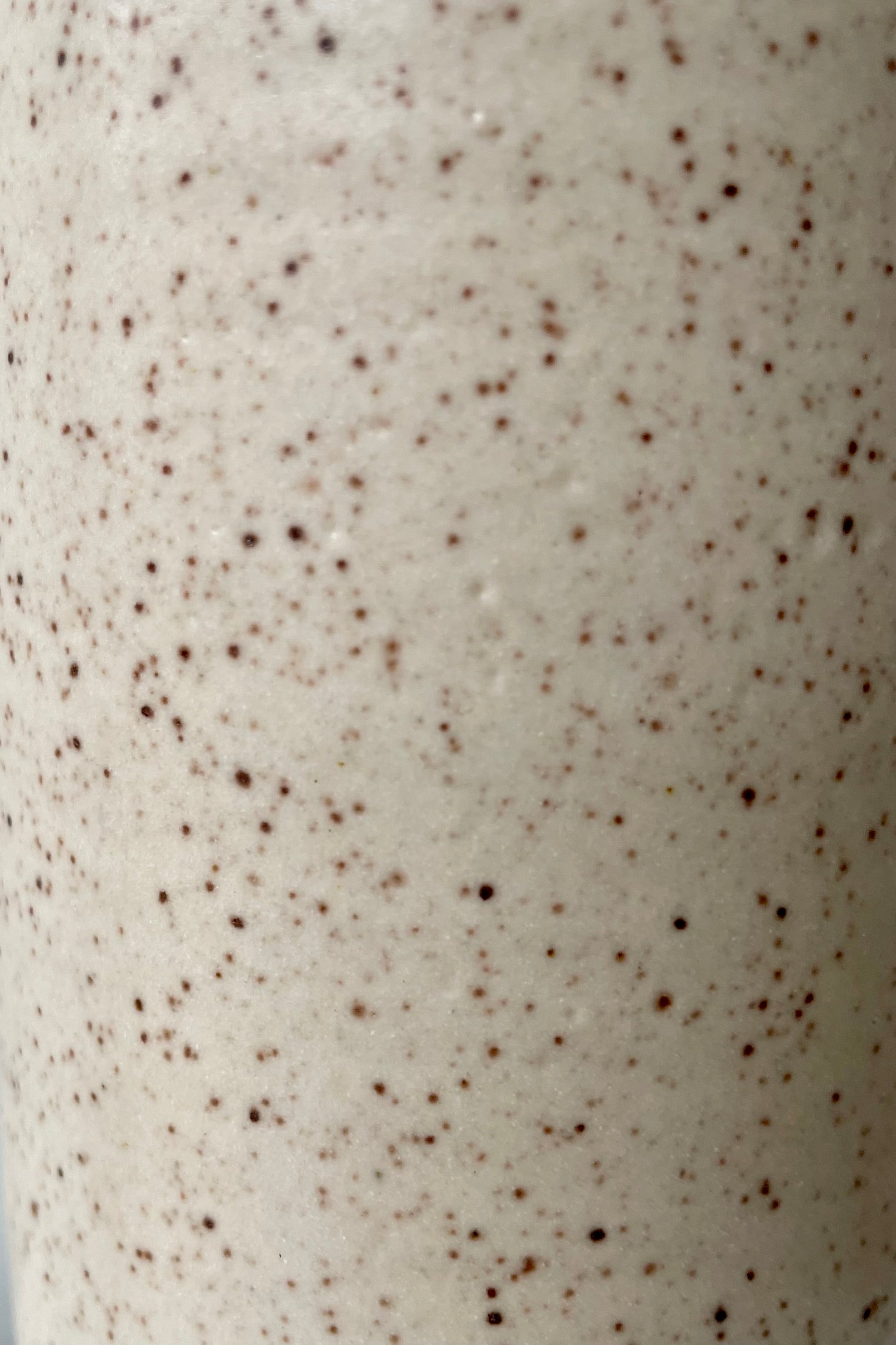 Jacqueline Vase Cream Speckle Small